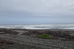 04.28 Greymouth und Paparoa NP (Pancake Rocks, Blowholes, Truman Track, Cape Foulwind)